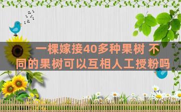 一棵嫁接40多种果树 不同的果树可以互相人工授粉吗